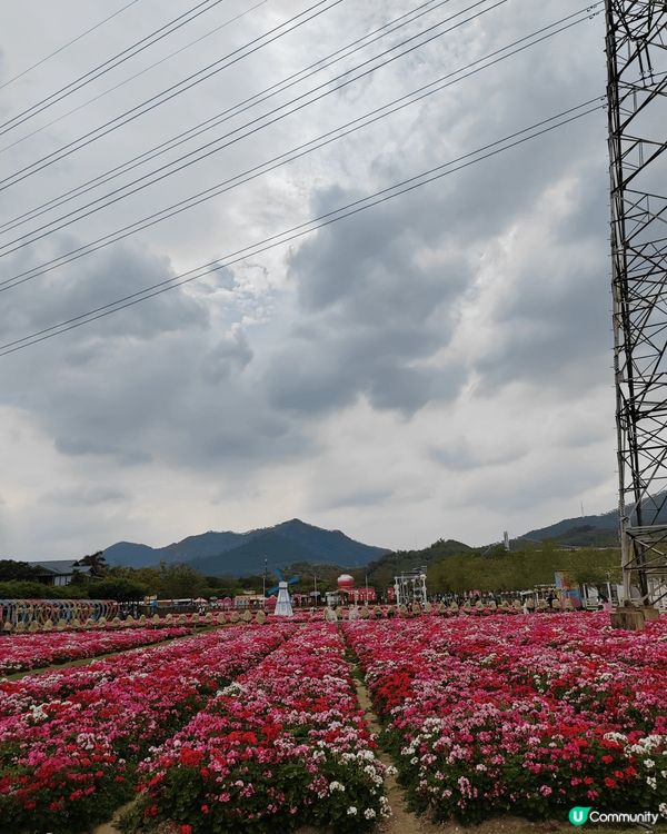 廣州塔小蠻腰，盈香心動樂園，天河城