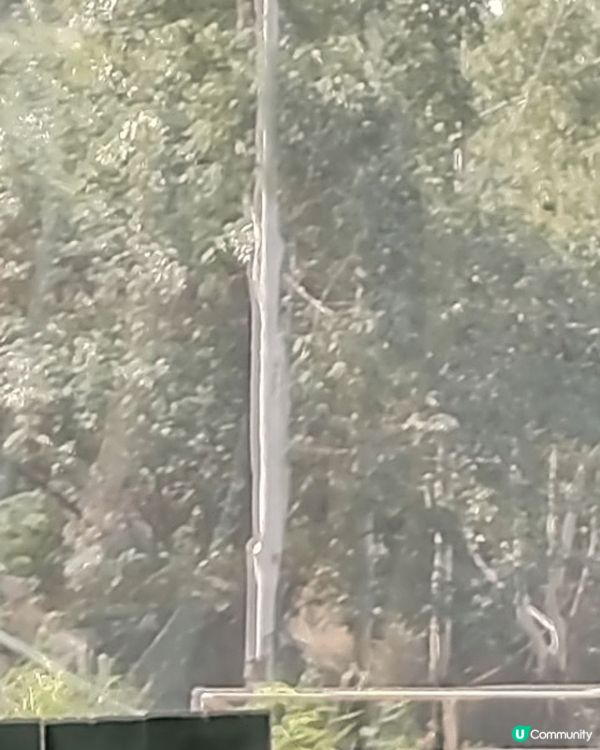 大西北郊遊睇黑沙☀️