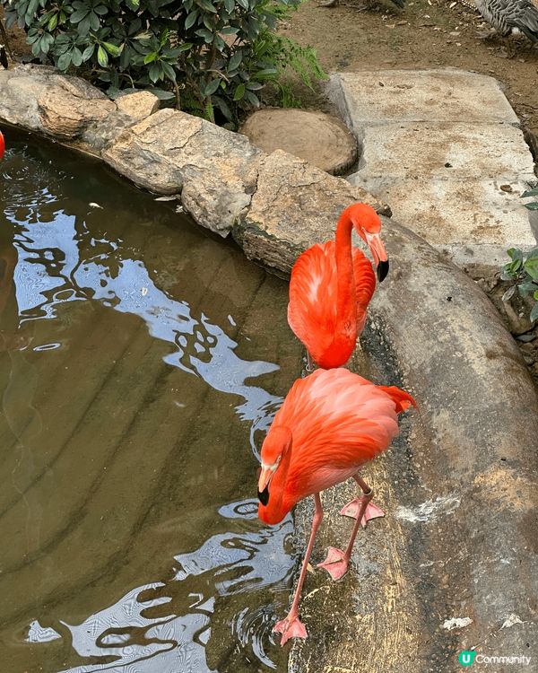 自然生態最為珍貴