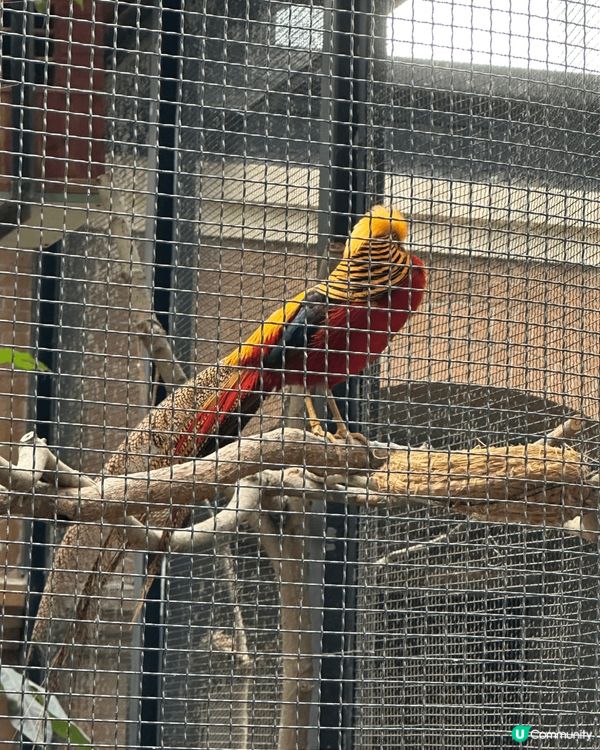 自然生態最為珍貴