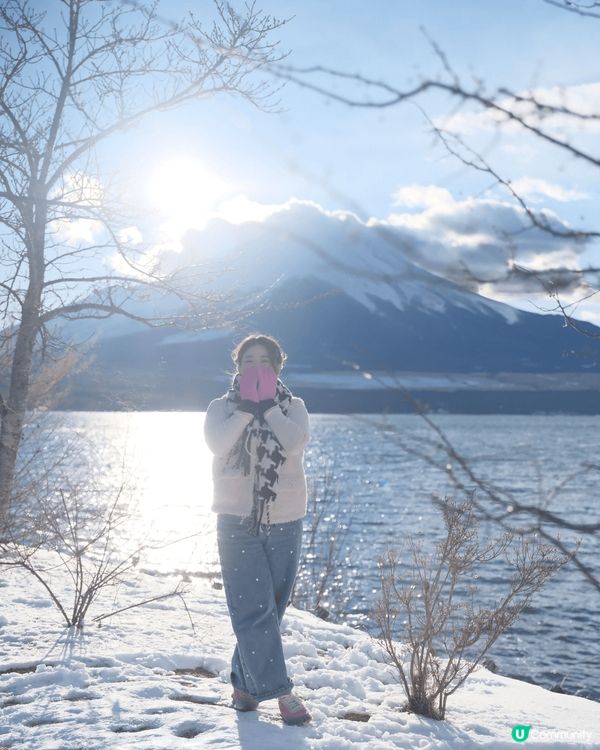 由春至冬的東京之旅 