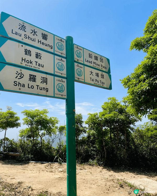 行山必去景點，大埔行去九龍坑山，原途上山雖然多梯級，但風景好...