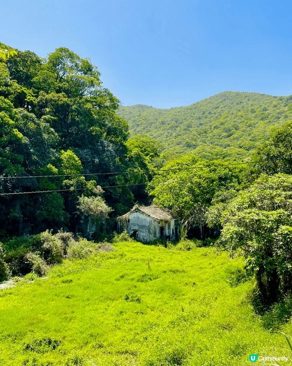 行山必去景點，大埔行去九龍坑山，原途上山雖然多梯級，但風景好...