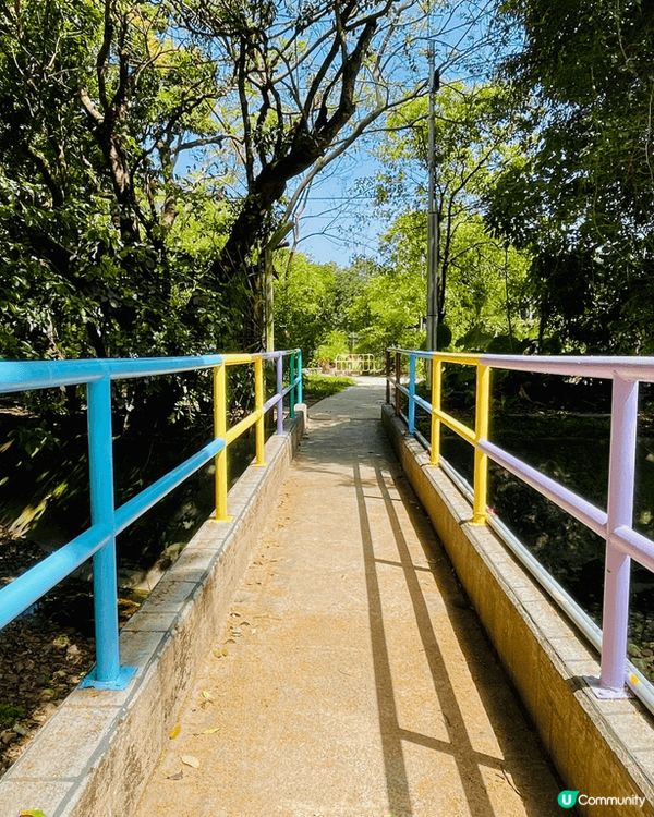 行山必去景點，大埔行去九龍坑山，原途上山雖然多梯級，但風景好...