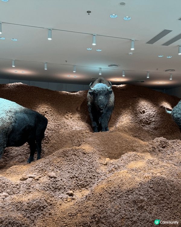 今個復活節假期去左深圳玩，去左萬象天地巨人展，非常震驚，你無...