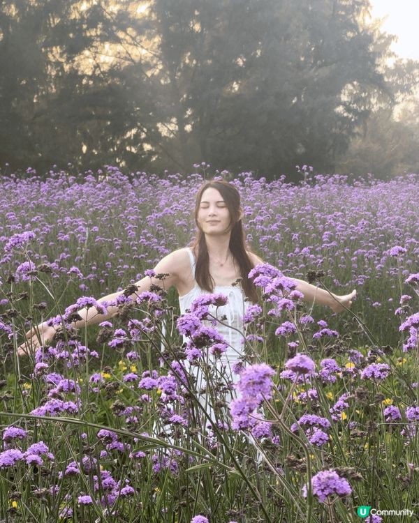 第一次去惠州同雙月灣 好多地方可以打卡 