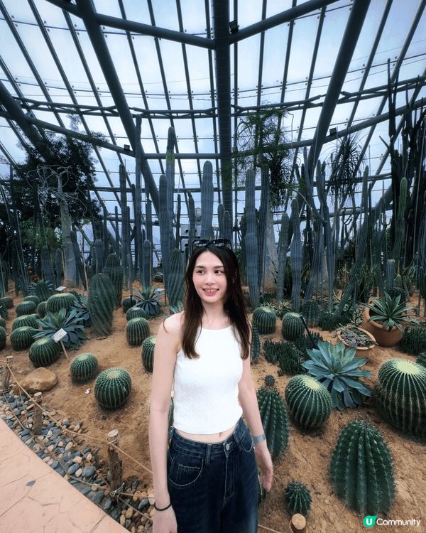 第一次去惠州同雙月灣 好多地方可以打卡 