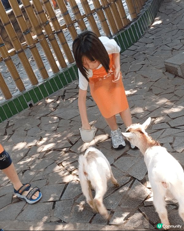 我地今次去左深圳，第一站:玩美攻略，嗰度有過百款機動遊戲玩，...