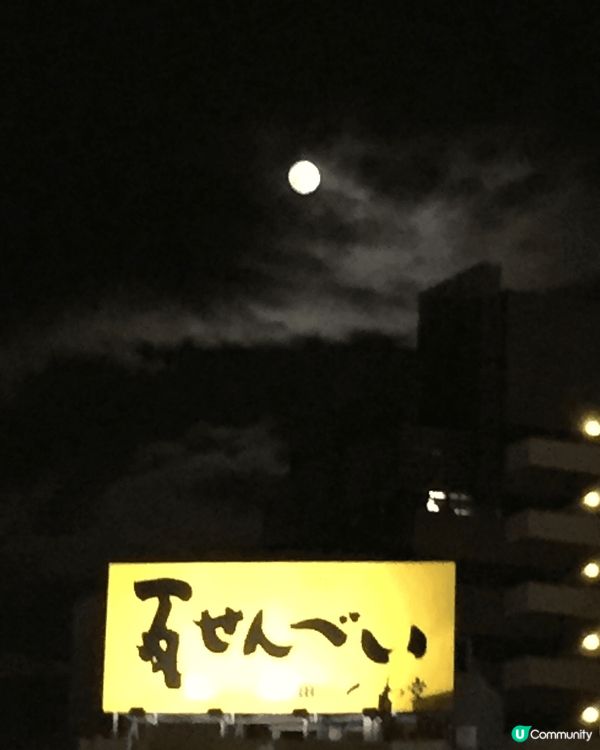 日本高松環境寧靜，洗滴心靈，雪糕精緻漂亮好味，沿路戶戶種的花...