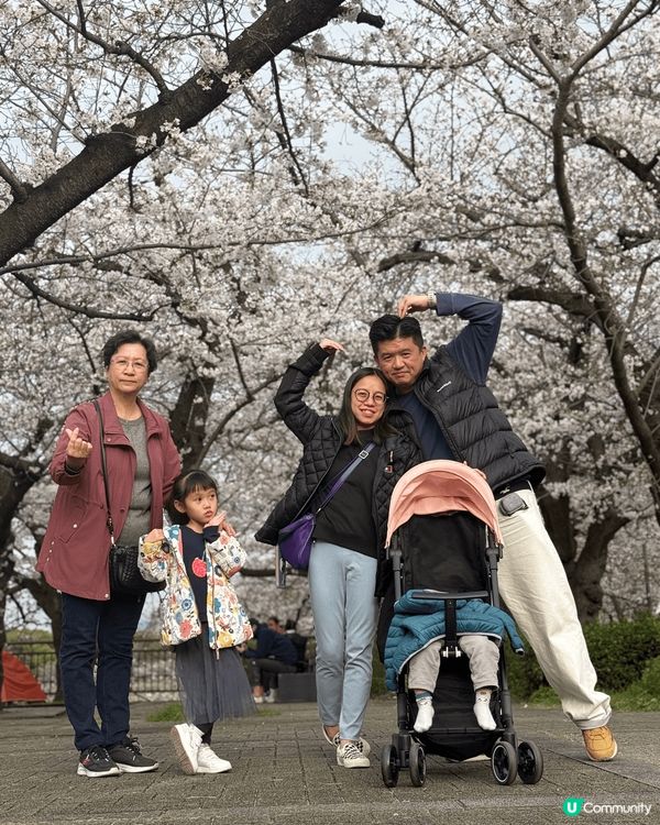 嵐山竹林，勝美寺，大阪城賞櫻