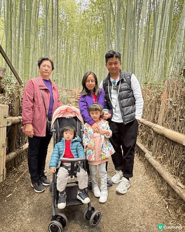嵐山竹林，勝美寺，大阪城賞櫻
