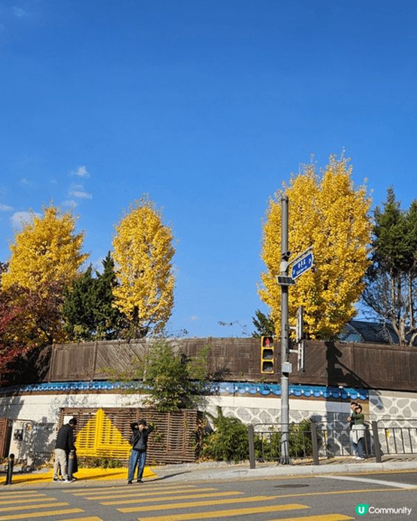 最鐘意韓國嘅秋天，天氣涼涼地紅葉同金黃色嘅銀杏佈滿街道2邊，...