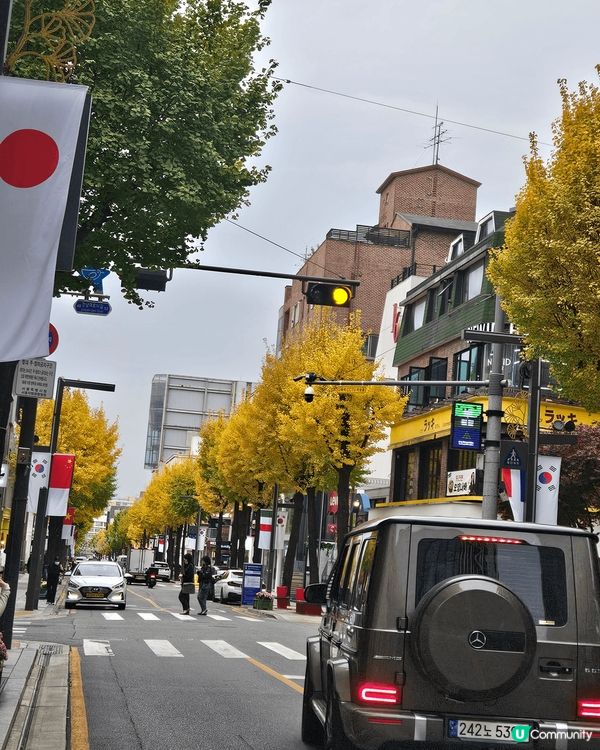 最鐘意韓國嘅秋天，天氣涼涼地紅葉同金黃色嘅銀杏佈滿街道2邊，...