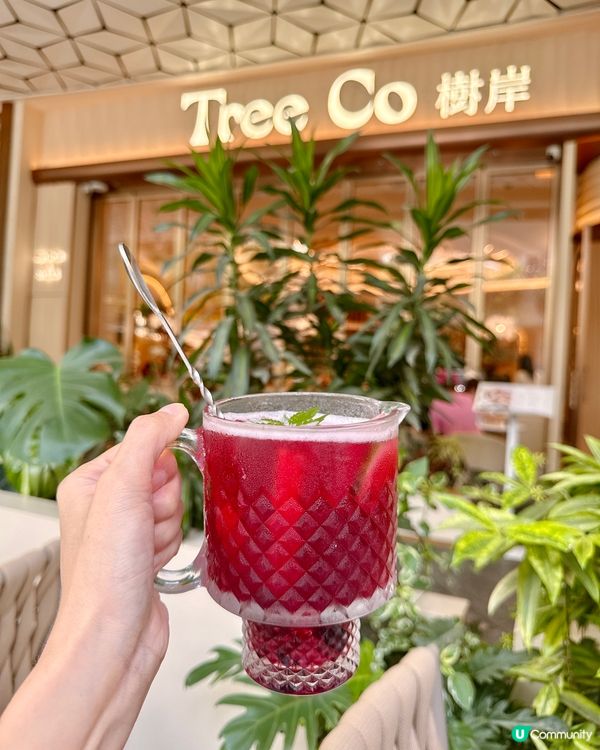 深圳約會閨蜜好去處 👭  樹岸打卡📸