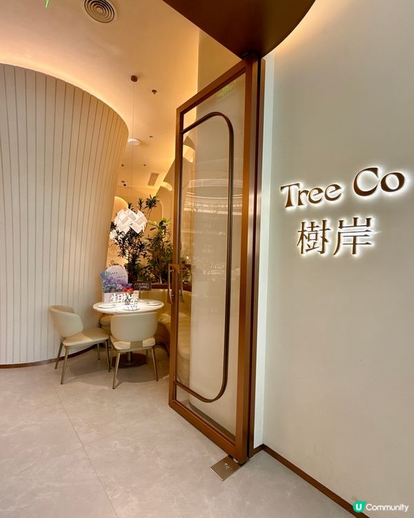 深圳約會閨蜜好去處 👭  樹岸打卡📸