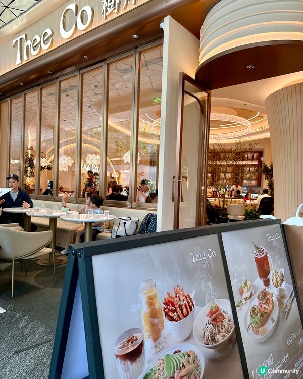 深圳約會閨蜜好去處 👭  樹岸打卡📸