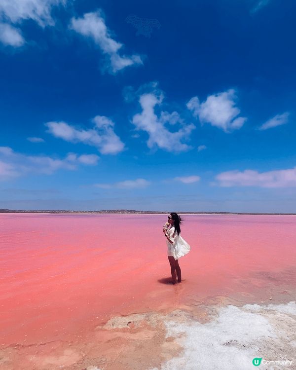 新年西澳珀斯遊沙漠滑沙享用出名澳洲龍蝦，最最最期待粉紅湖😍開...