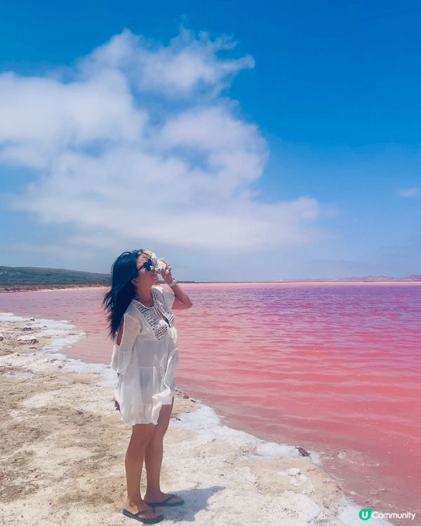 新年西澳珀斯遊沙漠滑沙享用出名澳洲龍蝦，最最最期待粉紅湖😍開...