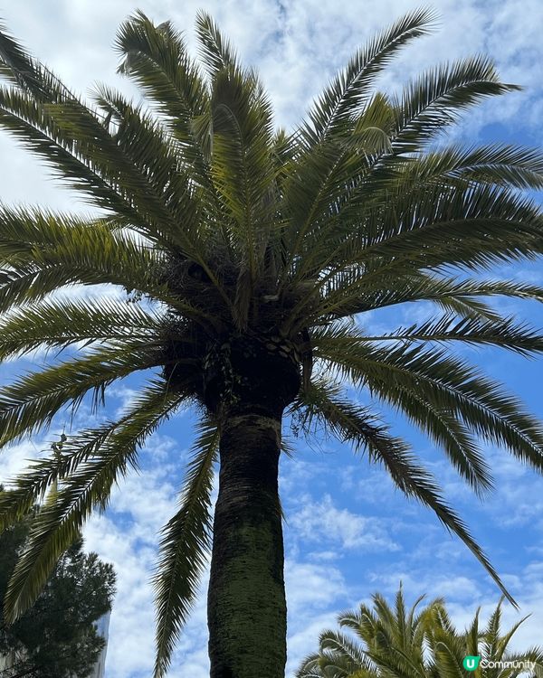 奎爾公園 Park Güell係西班牙巴塞隆納嘅必到景點！喺...