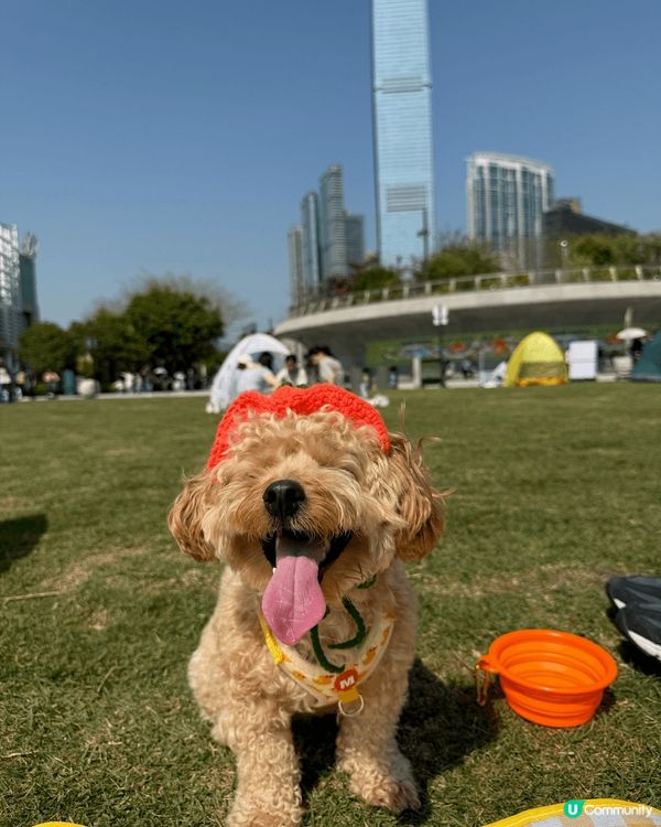 我哋叫009,招牌笑容電到你暈,強項係食玩訓❤️