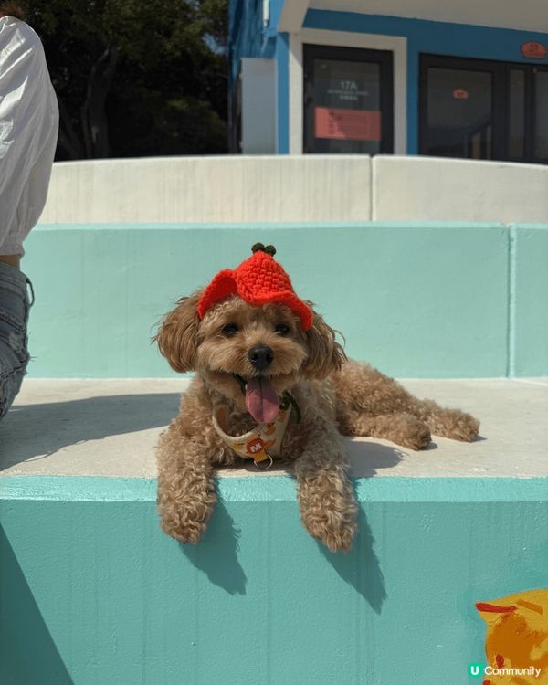 我哋叫009,招牌笑容電到你暈,強項係食玩訓❤️