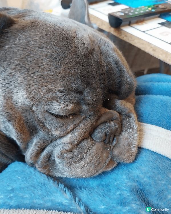 屋企影相不同動作,和開心