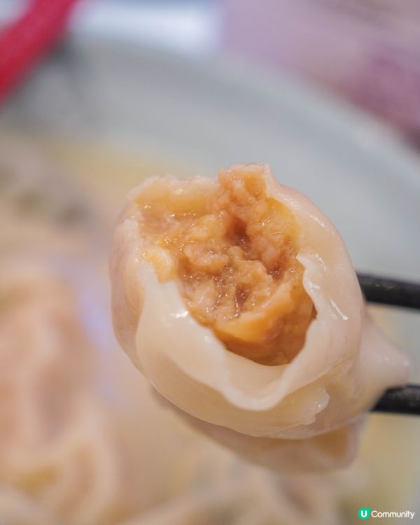 餃子控必訪！手工湯餃・煎餃一次滿足