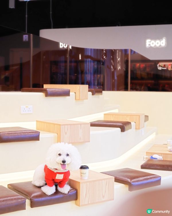 交通方便 毛孩室內放電好去處