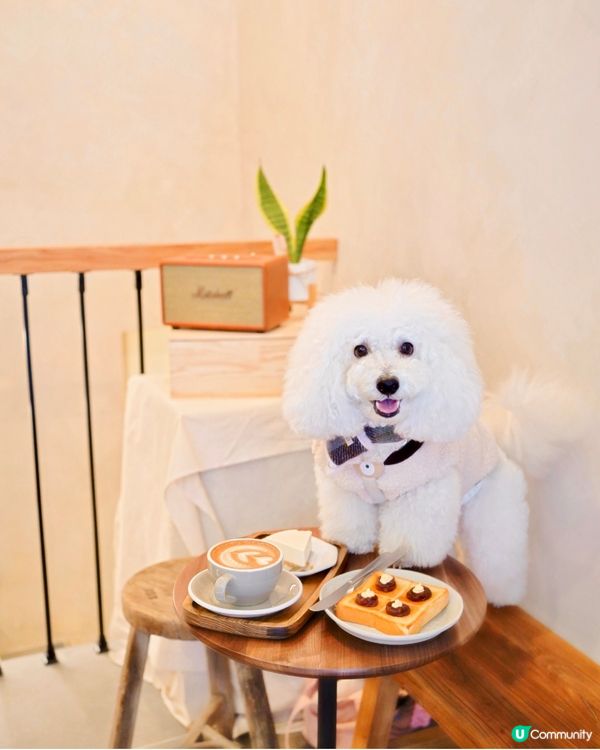 歌賦街街市旁 高質咖啡甜品店