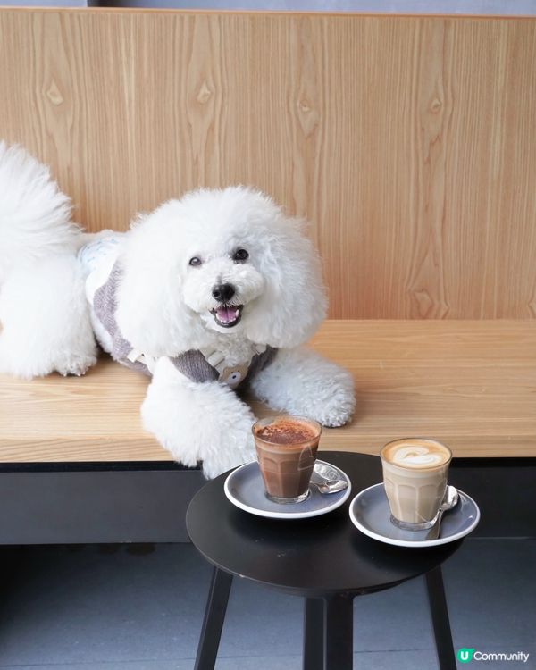 Fineprint 跑馬地店 最毛孩友善