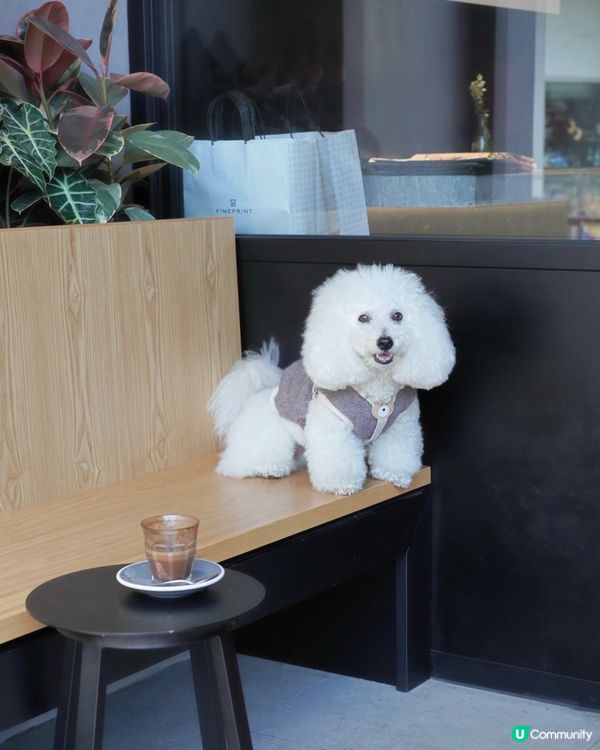 Fineprint 跑馬地店 最毛孩友善