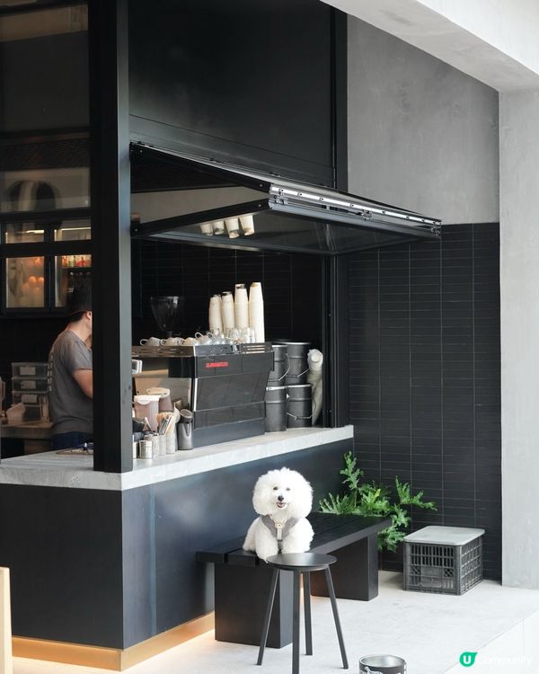 Fineprint 跑馬地店 最毛孩友善