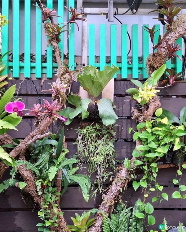 動植物公園，打卡天堂！🐒🌿