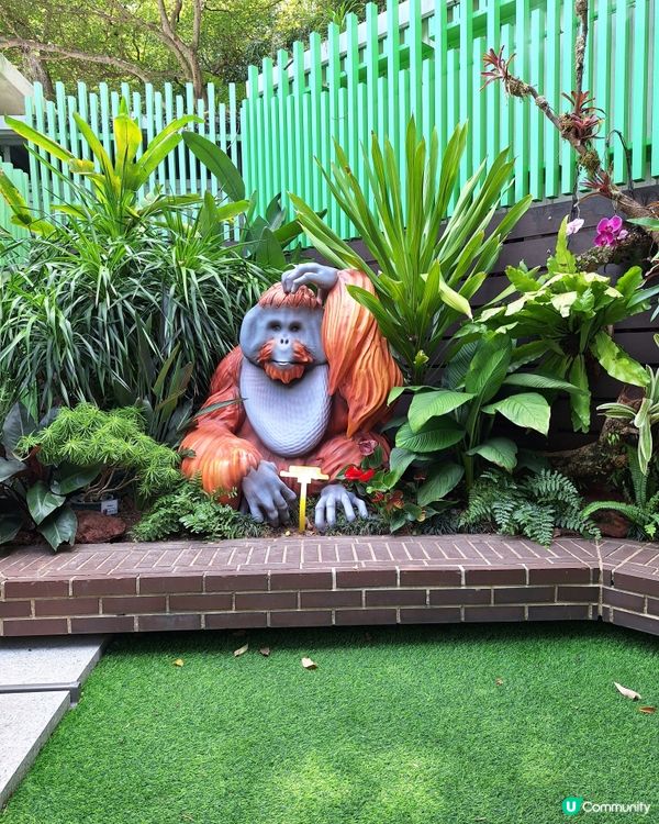 動植物公園，打卡天堂！🐒🌿