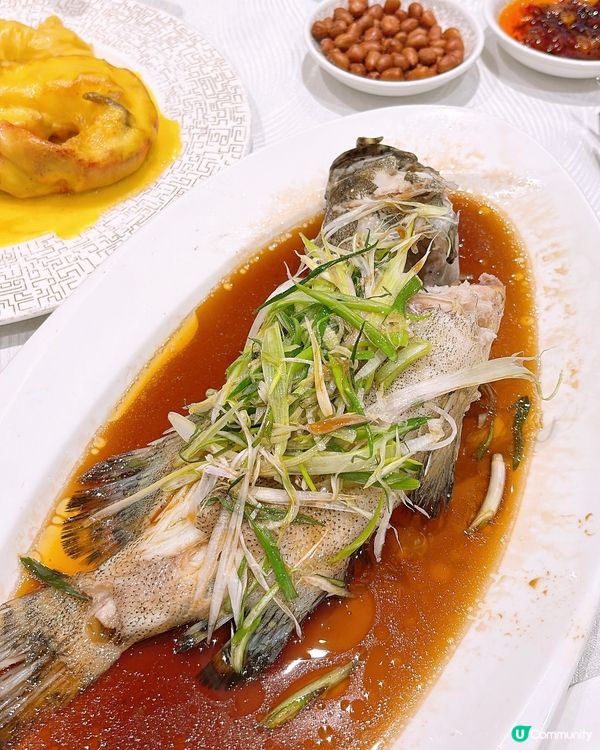 🎏嚟尖沙咀食30年粵菜經驗餐廳‼️全海鮮餐都只係$680😳