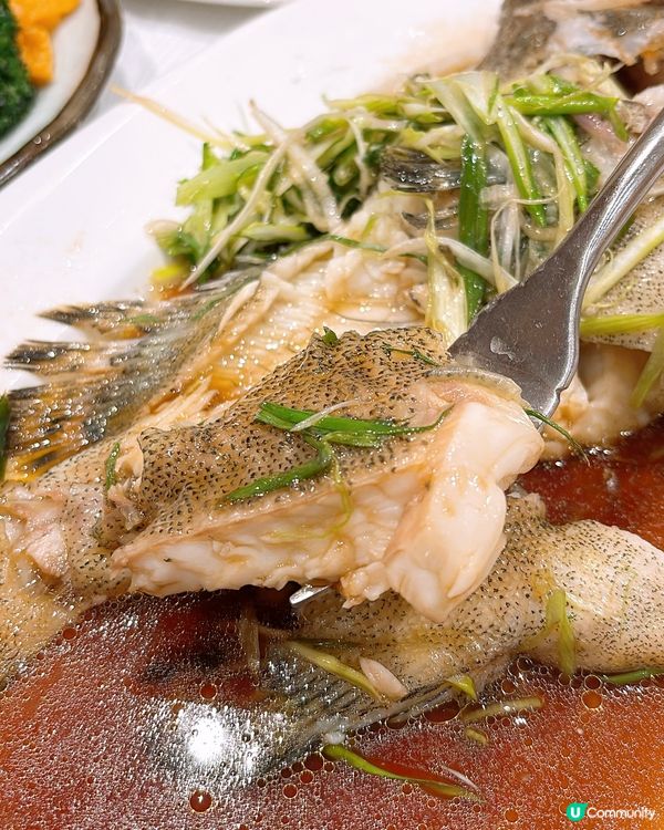 🎏嚟尖沙咀食30年粵菜經驗餐廳‼️全海鮮餐都只係$680😳