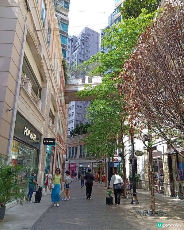 消失嘅香港，香港城市風貌畫展留住回憶 🖼️