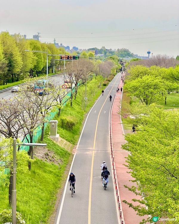 🇰🇷韓國首爾楊花漢江公園週末野餐散步好去處💯👏🏻👍🏻