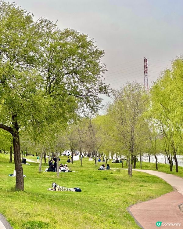 🇰🇷韓國首爾楊花漢江公園週末野餐散步好去處💯👏🏻👍🏻
