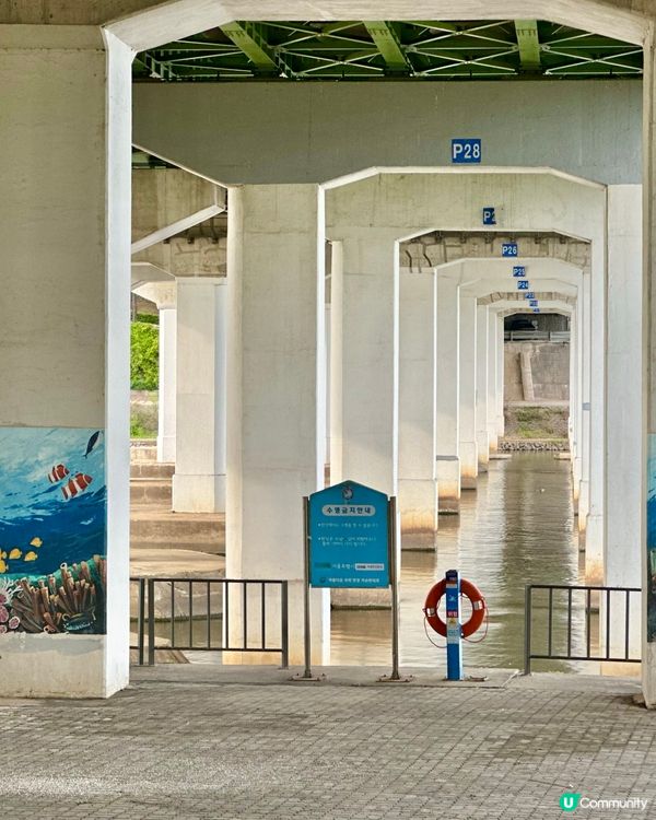 🇰🇷韓國首爾楊花漢江公園週末野餐散步好去處💯👏🏻👍🏻