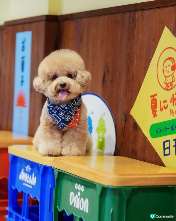 香港寵物友善商場-D2 place