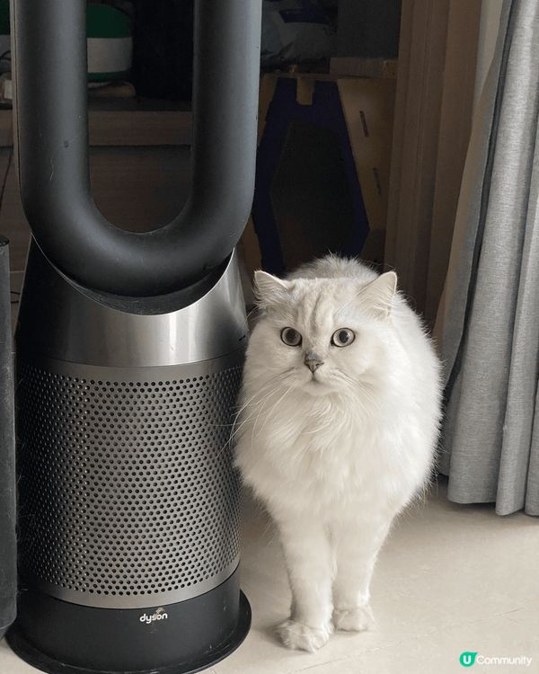 推介無扇葉嘅dyson冷暖風扇