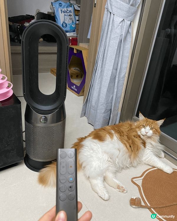 推介無扇葉嘅dyson冷暖風扇