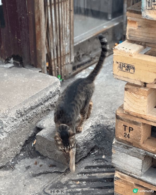 韓國人氣居家美容🇰🇷收毛孔系列💖