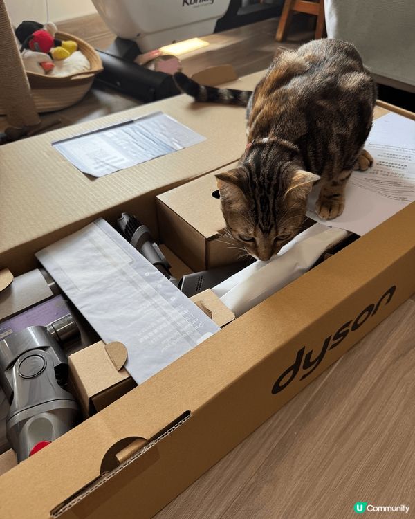 自己對於家居清潔特別有要求，加上有小貓在屋，動物毛髮特別多，...