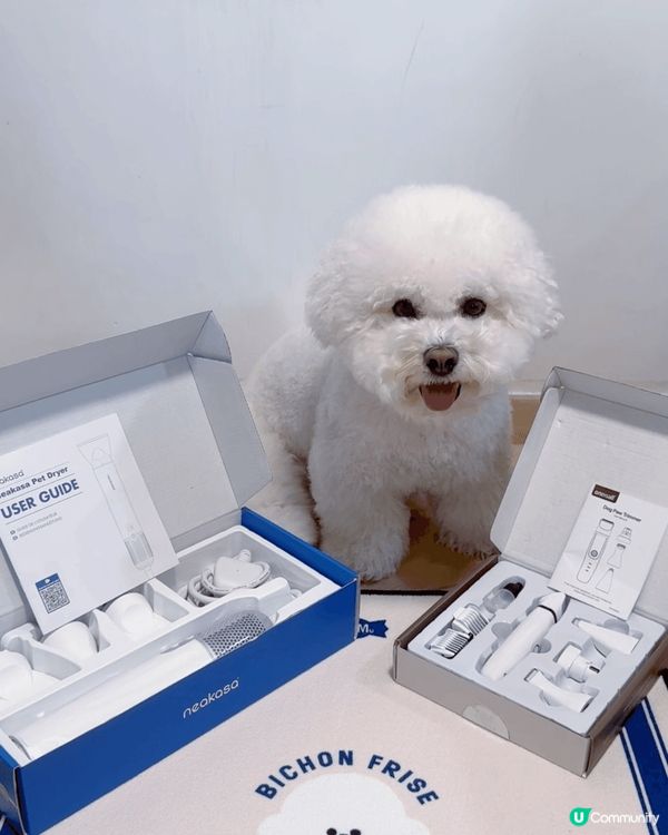 要照顧狗狗唔容易，想狗狗有多啲陪伴可以用迷你機械人ROLA ...