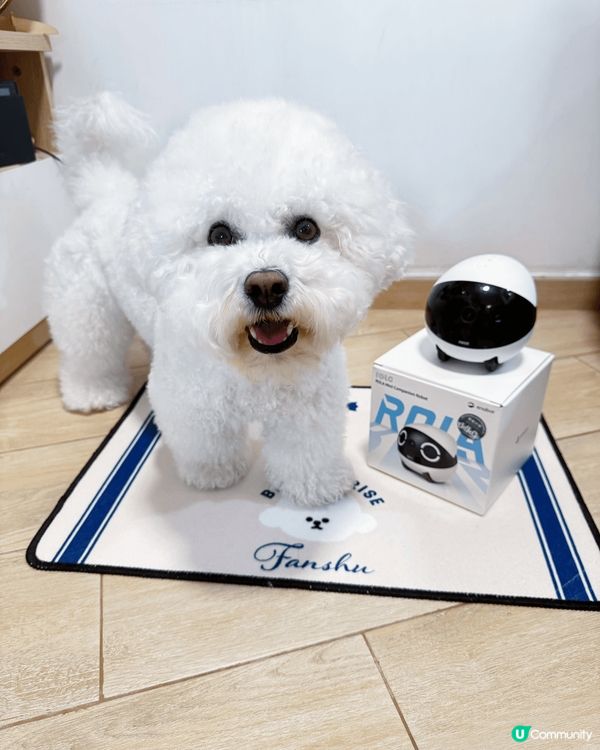 要照顧狗狗唔容易，想狗狗有多啲陪伴可以用迷你機械人ROLA ...