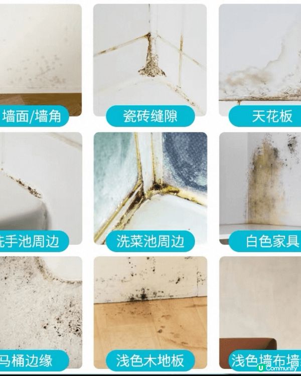 潮濕天氣牆身成日有黑色霉跡，用了去霉噴霧後，霉跡無晒，沒有刺...