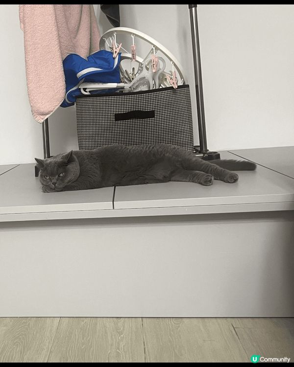 第一個可充手機電的小桌，可以在看電視同時充電放茶杯！第二收納...