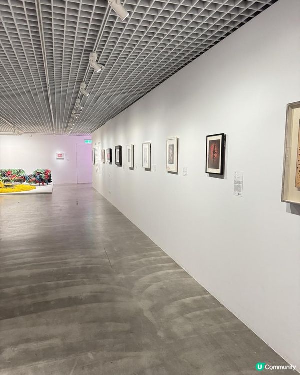 台北草間彌生回顧展